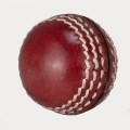 Mini Leather Cricket Ball