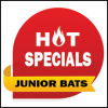 Junior Cricket Bat Specials