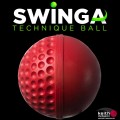 Swinga Technique Cricket Ball Red