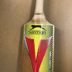 Cricket Bat Handle Replacement