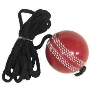 Batting Hanging Practice Ball