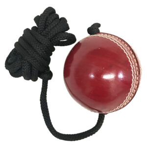 Batting Hanging Practice Ball - Leather