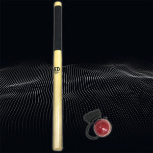 Ultimate Cricket Batting Trainer