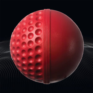 Swinga Technique Cricket Ball