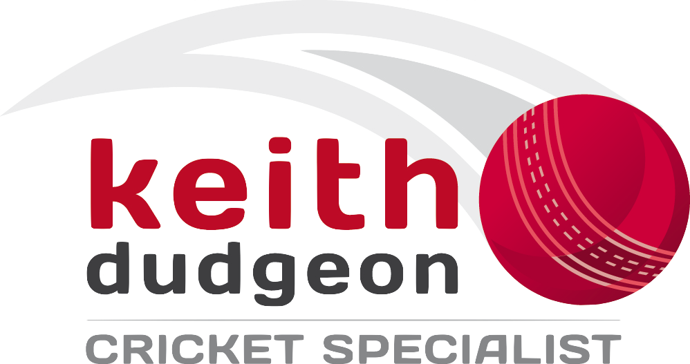 Cricket Bat Toe or Shoulder Repair