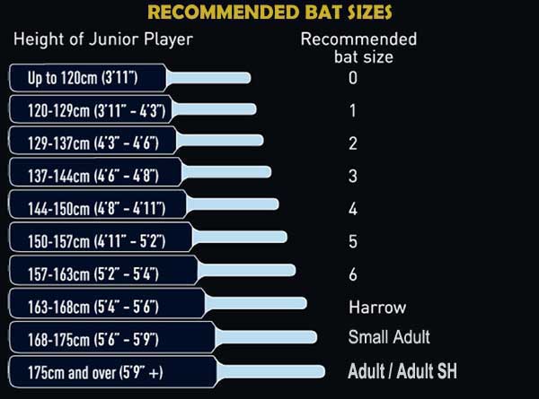 Gray Nicolls Blitz 500 Cricket Bat - Junior - Image 2