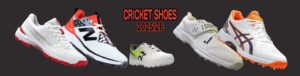 Cricket Shoes