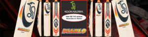 Kookaburra Diablo Cricket bat